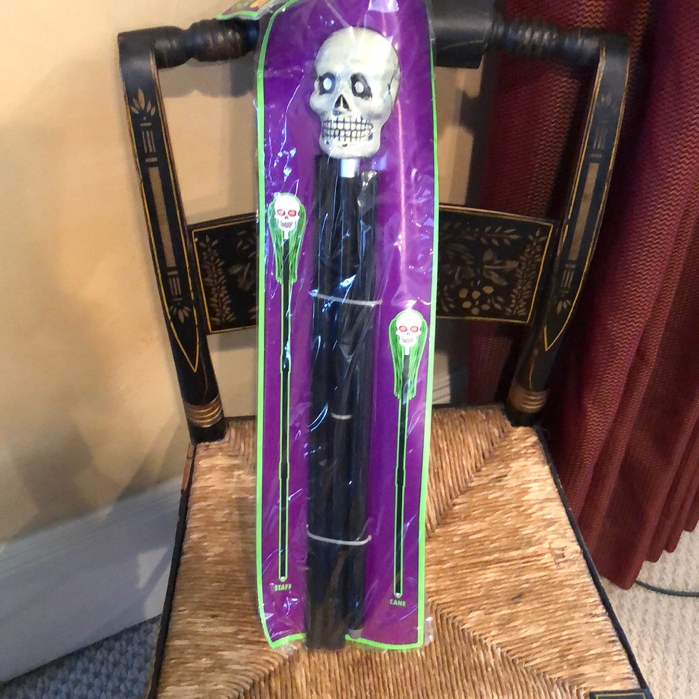 2 in 1 Walking Stick, by Rubie’s costume